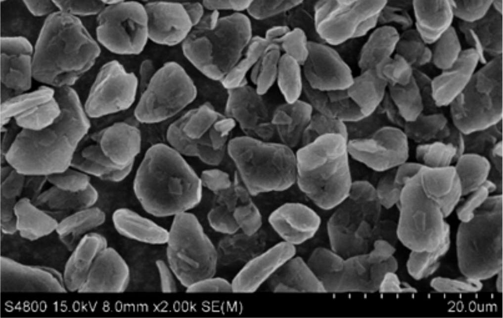 爽爽窝窝午夜精品一区二区