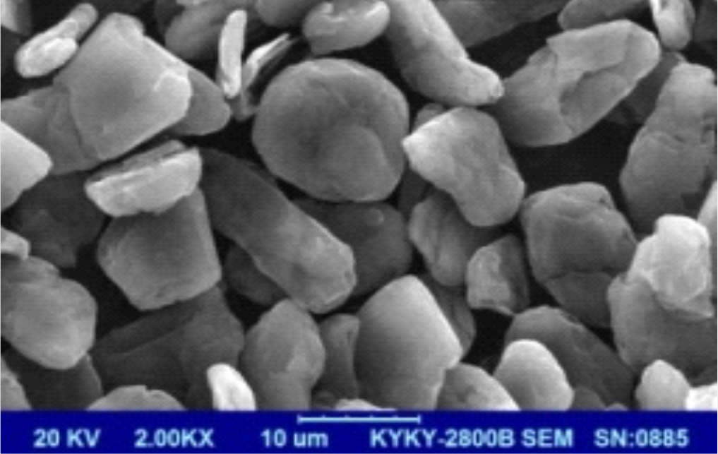 爽爽窝窝午夜精品一区二区