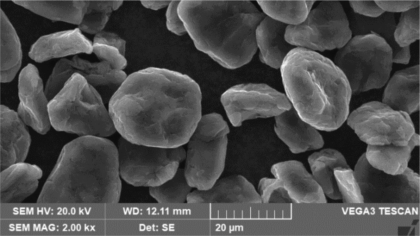 爽爽窝窝午夜精品一区二区