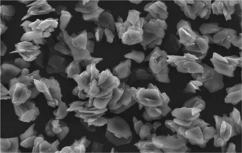 爽爽窝窝午夜精品一区二区