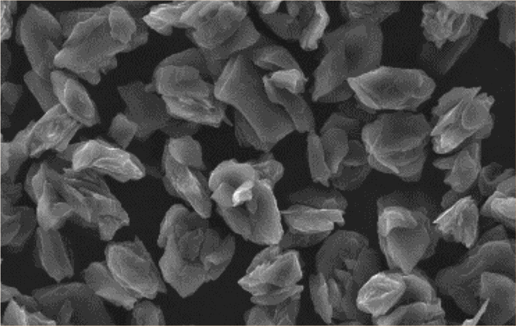 爽爽窝窝午夜精品一区二区