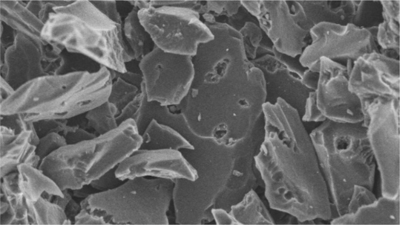 爽爽窝窝午夜精品一区二区