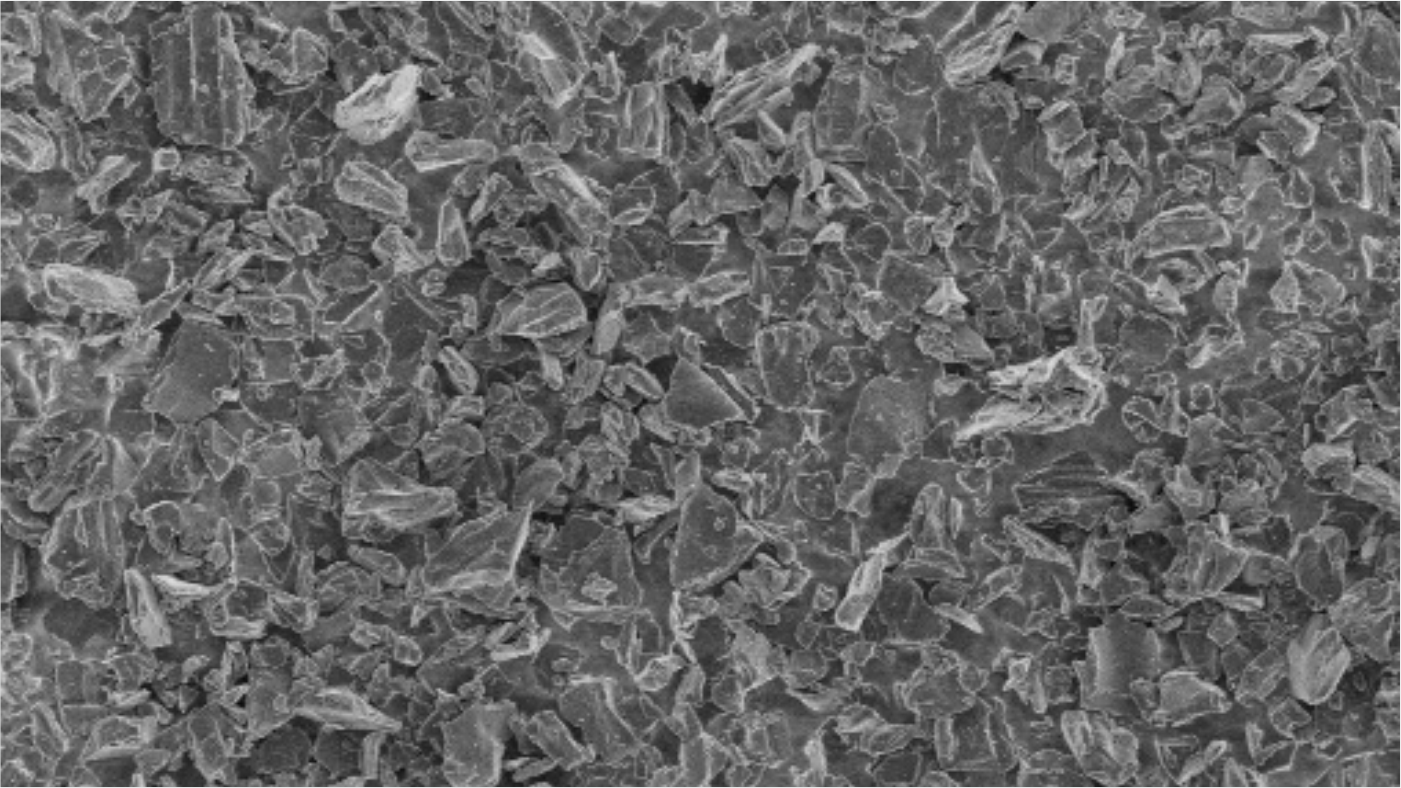 爽爽窝窝午夜精品一区二区