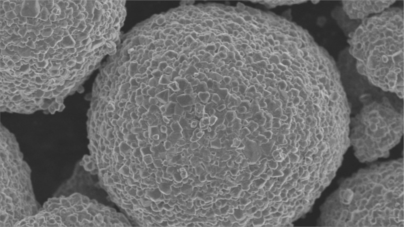 爽爽窝窝午夜精品一区二区