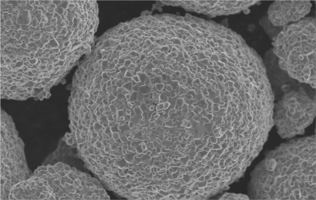 爽爽窝窝午夜精品一区二区