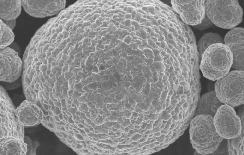 爽爽窝窝午夜精品一区二区