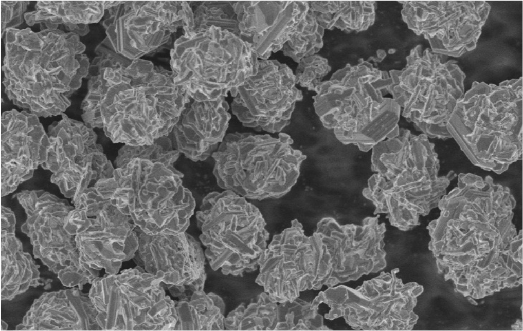 爽爽窝窝午夜精品一区二区