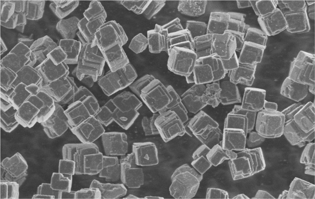 爽爽窝窝午夜精品一区二区