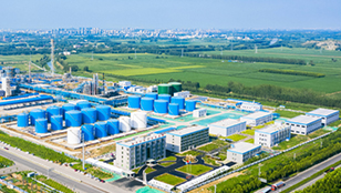 爽爽窝窝午夜精品一区二区