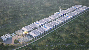 爽爽窝窝午夜精品一区二区