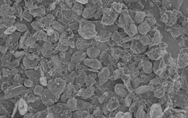 爽爽窝窝午夜精品一区二区