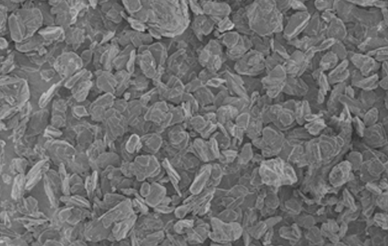 爽爽窝窝午夜精品一区二区