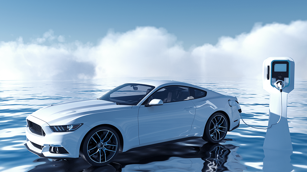 爽爽窝窝午夜精品一区二区