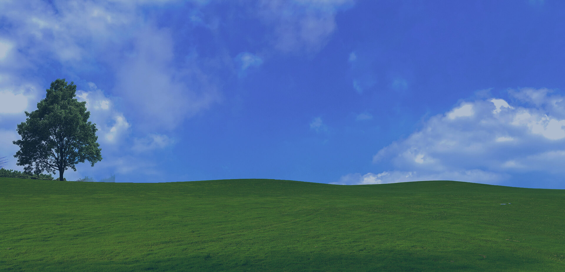 爽爽窝窝午夜精品一区二区