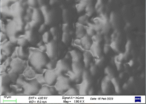 爽爽窝窝午夜精品一区二区