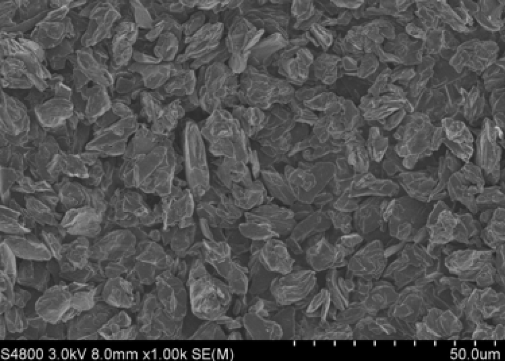 爽爽窝窝午夜精品一区二区