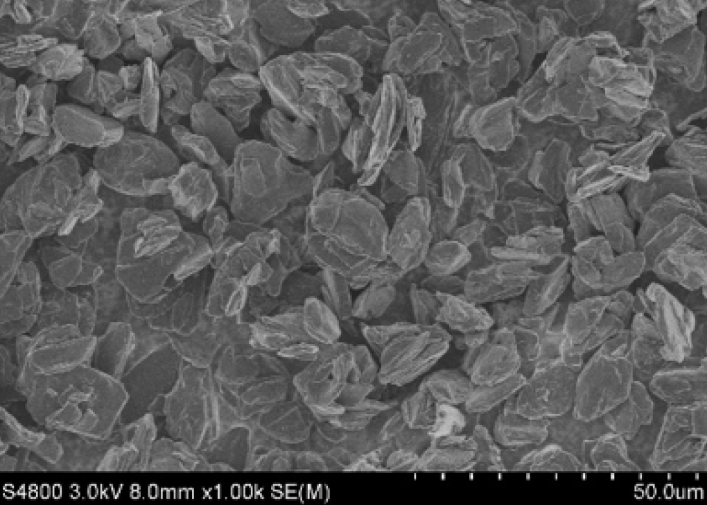 爽爽窝窝午夜精品一区二区