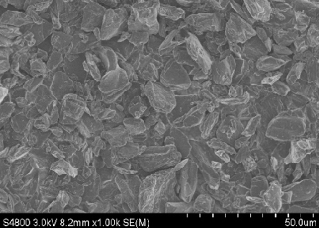 爽爽窝窝午夜精品一区二区