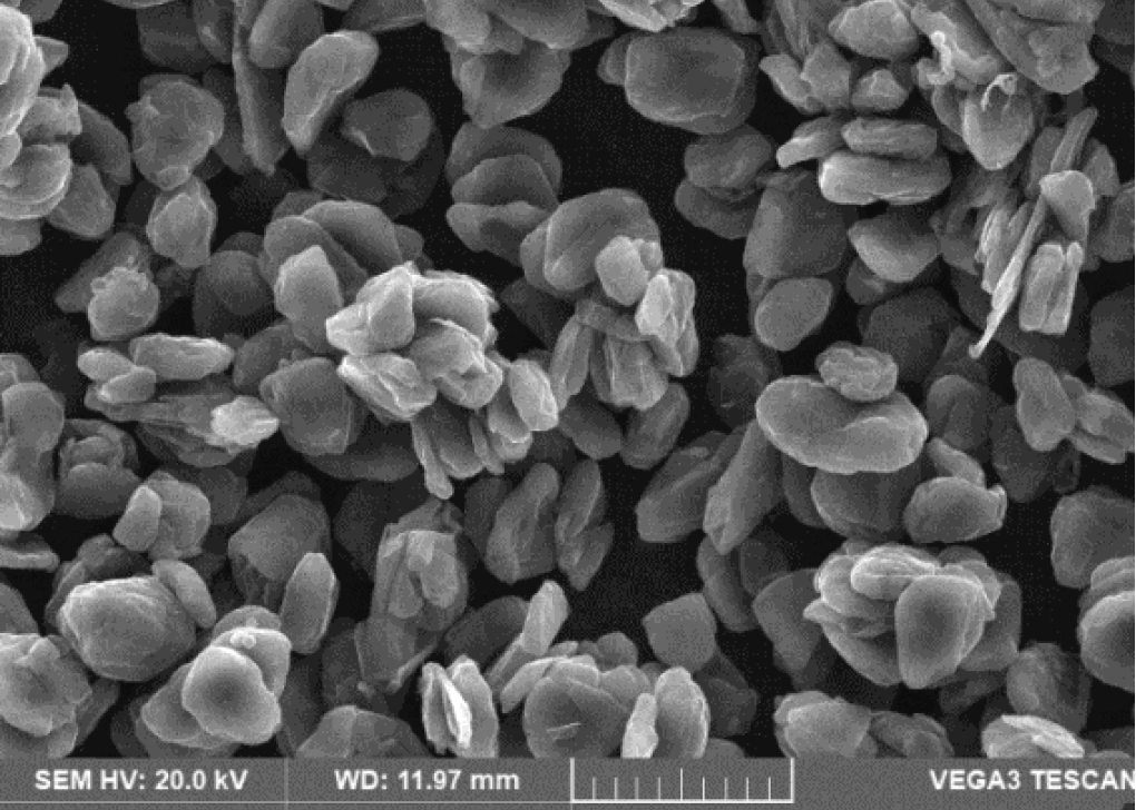 爽爽窝窝午夜精品一区二区