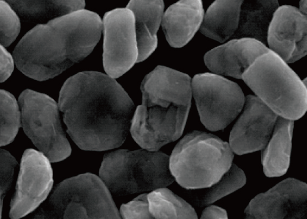 爽爽窝窝午夜精品一区二区