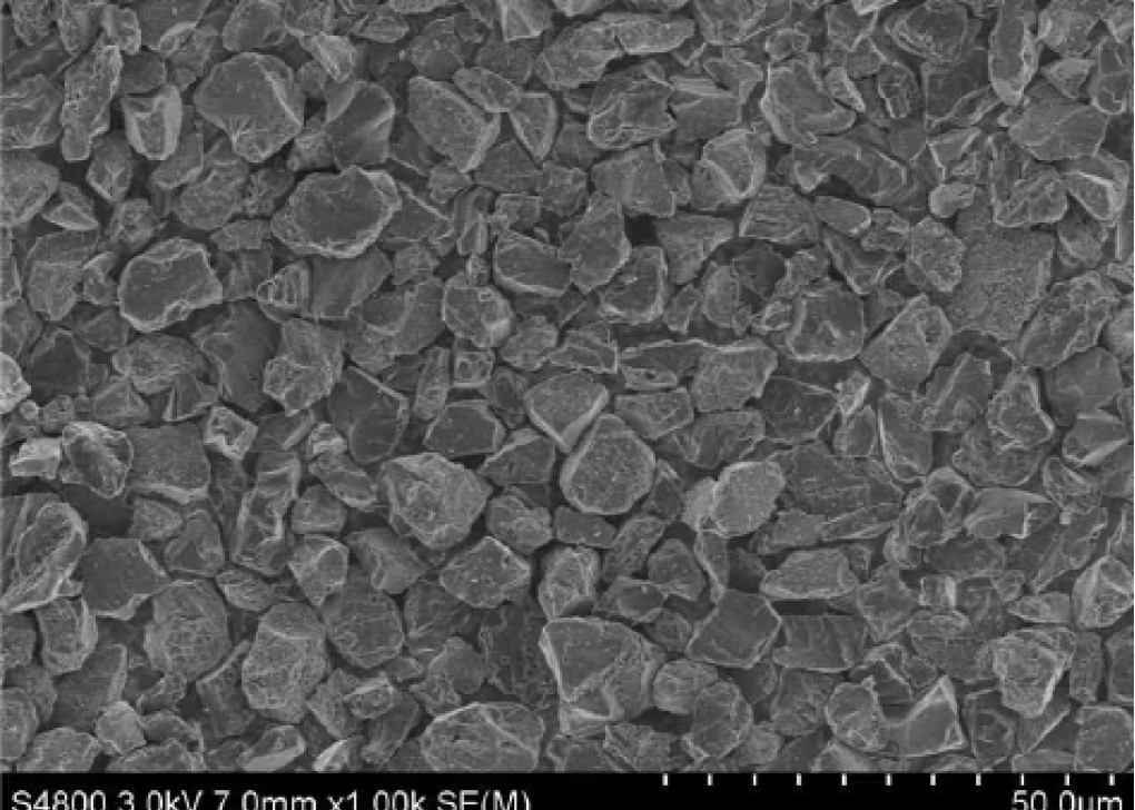 爽爽窝窝午夜精品一区二区