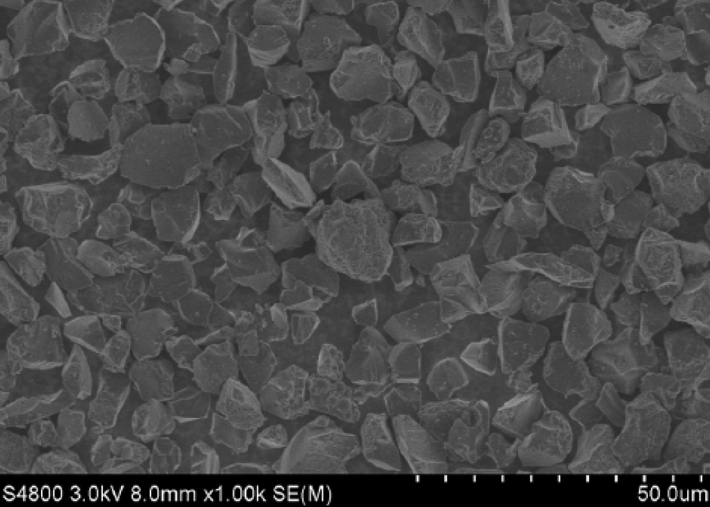 爽爽窝窝午夜精品一区二区