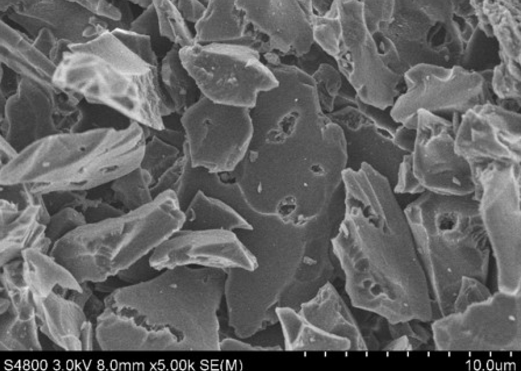 爽爽窝窝午夜精品一区二区