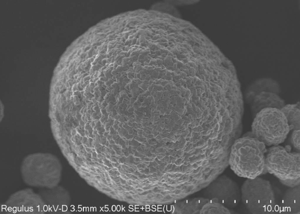 爽爽窝窝午夜精品一区二区