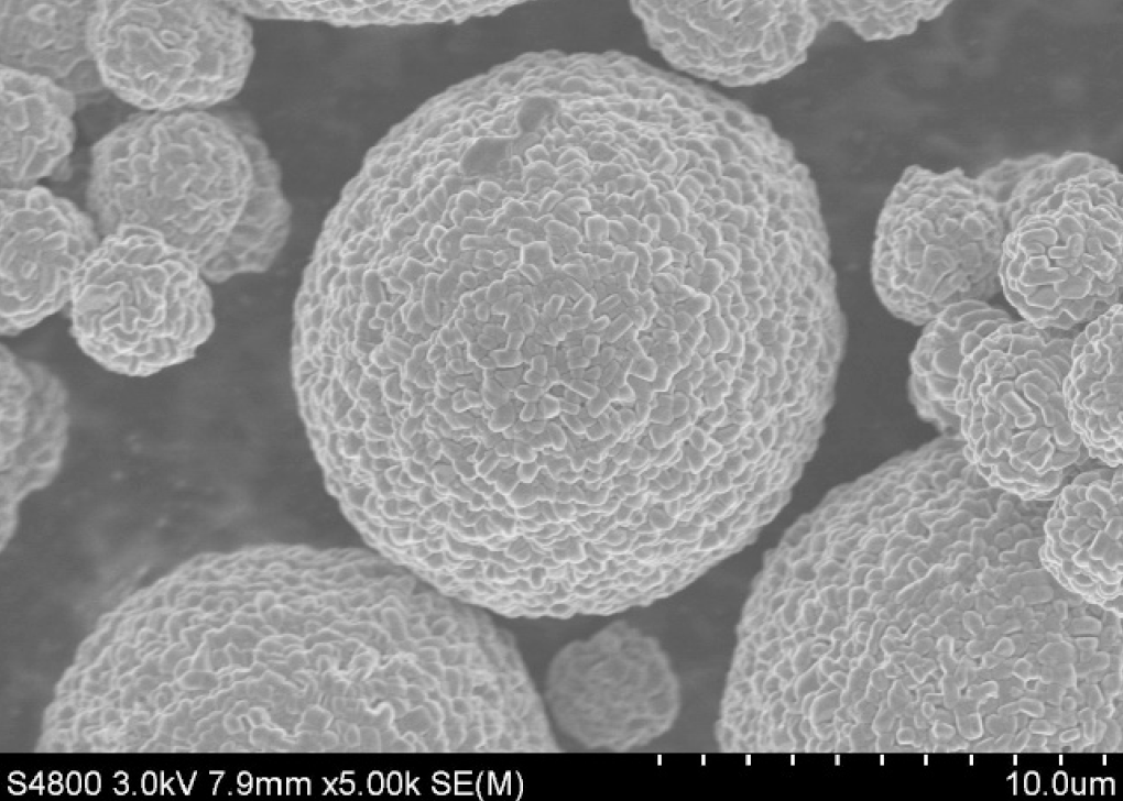 爽爽窝窝午夜精品一区二区
