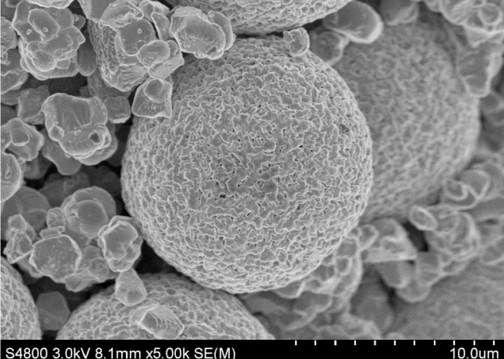 爽爽窝窝午夜精品一区二区