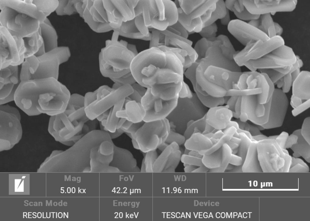 爽爽窝窝午夜精品一区二区