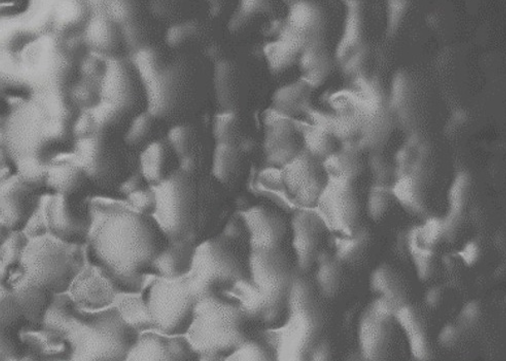 爽爽窝窝午夜精品一区二区