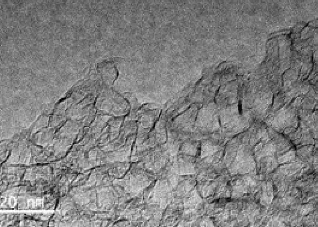 爽爽窝窝午夜精品一区二区