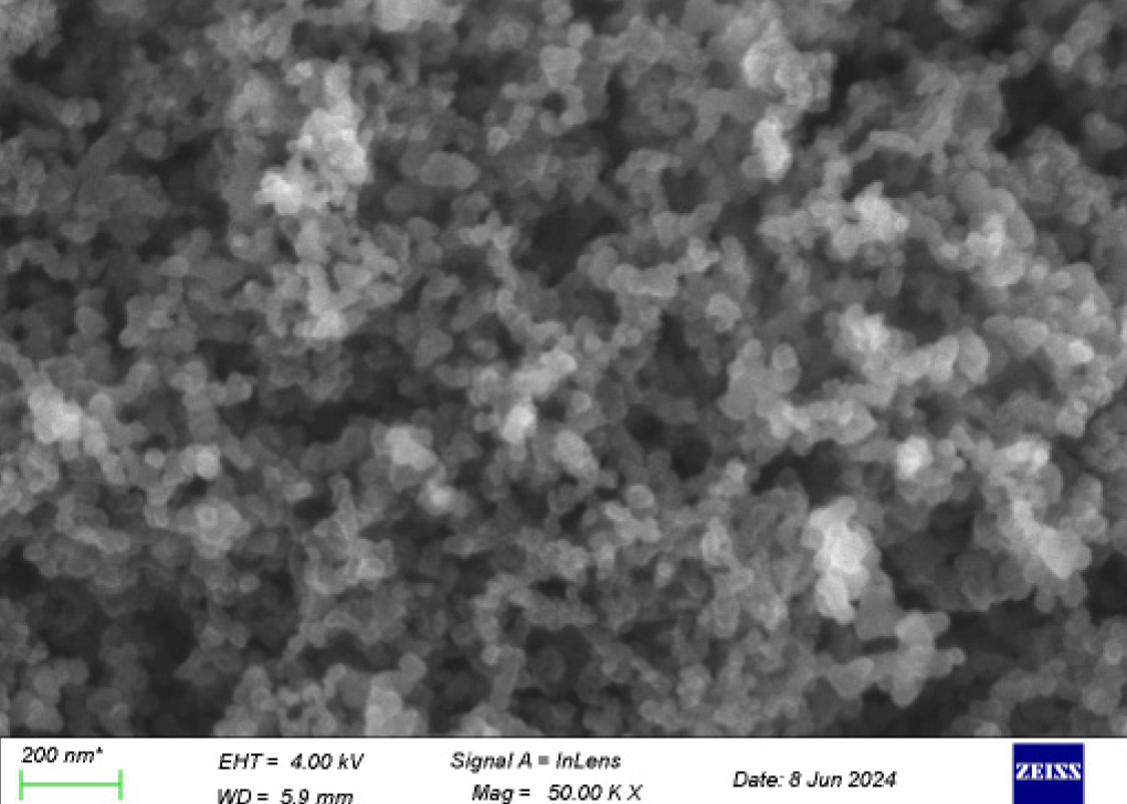 爽爽窝窝午夜精品一区二区