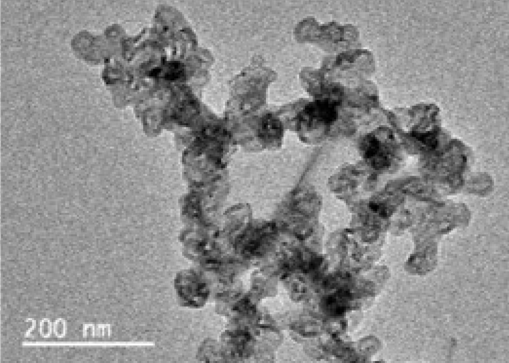 爽爽窝窝午夜精品一区二区
