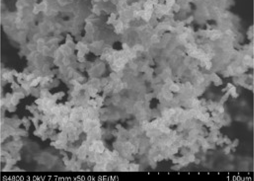 爽爽窝窝午夜精品一区二区