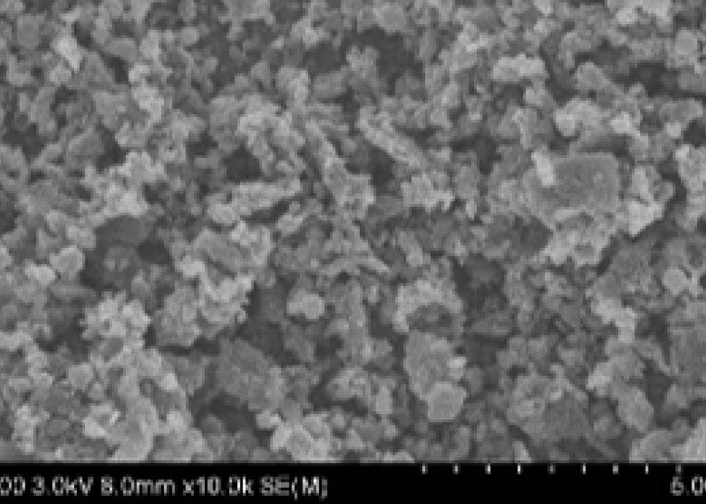 爽爽窝窝午夜精品一区二区